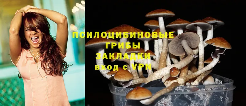 Псилоцибиновые грибы Psilocybine cubensis  сколько стоит  Сибай 